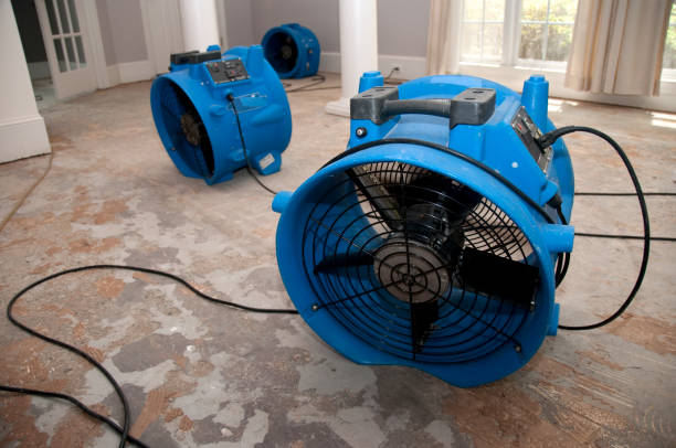 Best Residential water damage restoration  in Marlton, MD