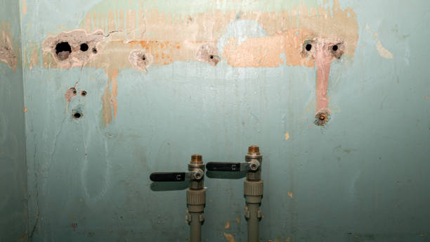 Best Basement water damage restoration  in Marlton, MD
